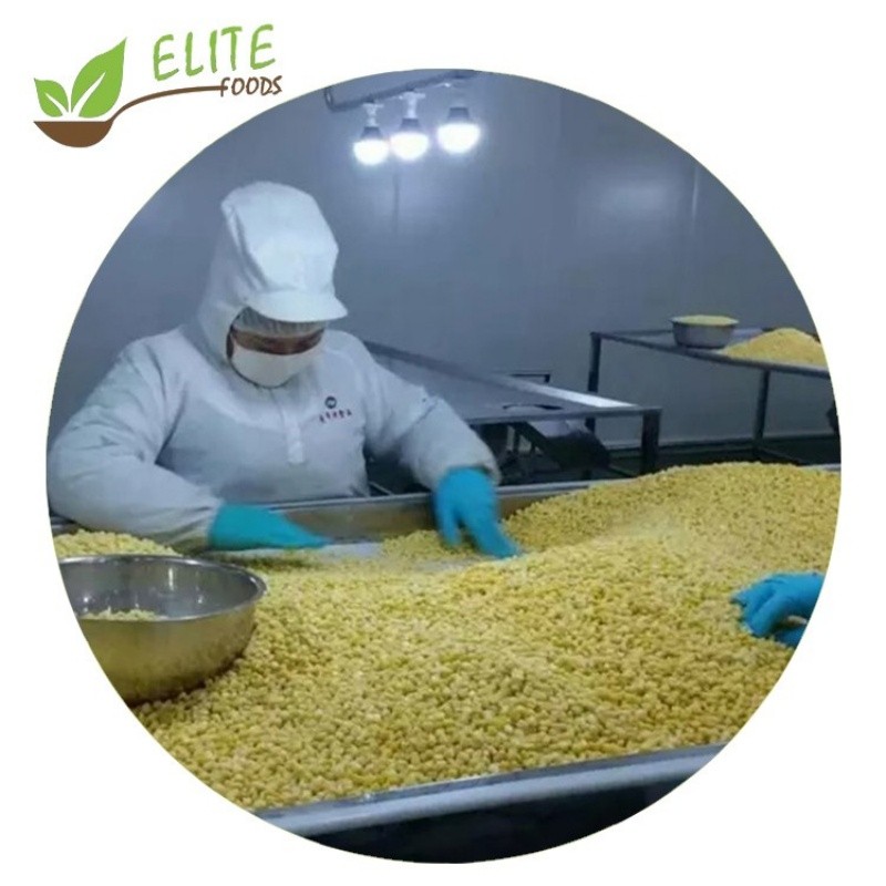 IQF Frozen Sweet Corn Kernels