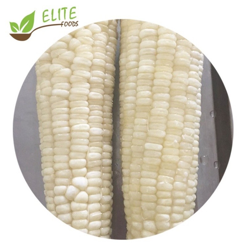 IQF Frozen Corn Cob