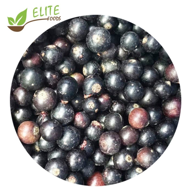 IQF Frozen Blackcurrant