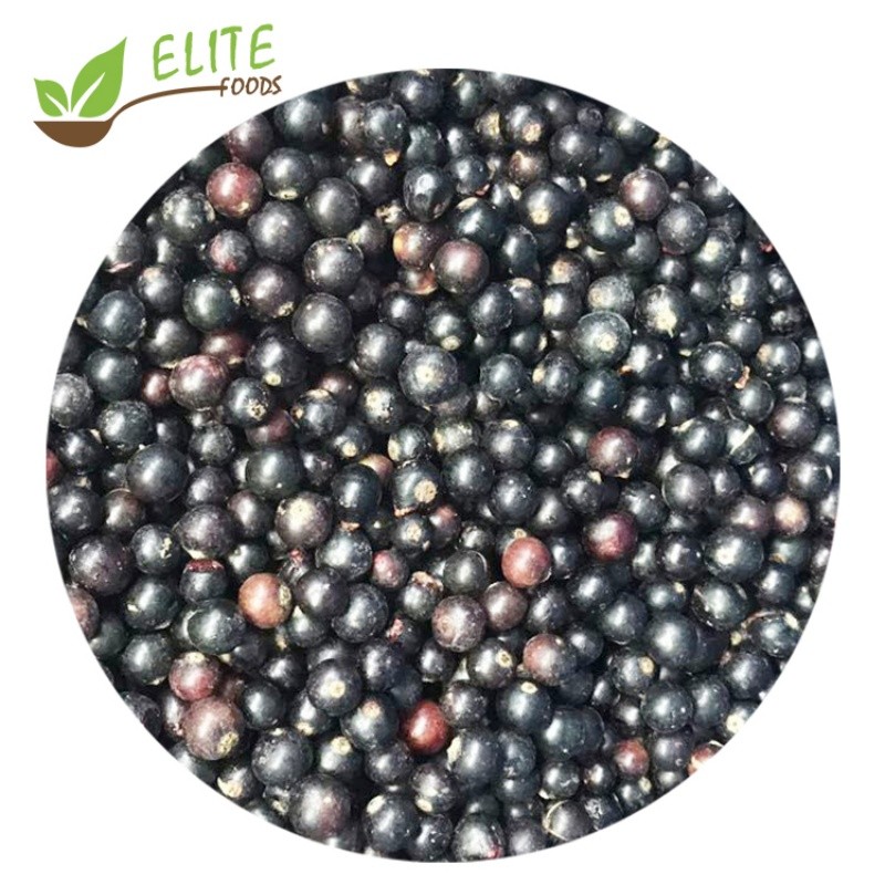 IQF Frozen Blackcurrant
