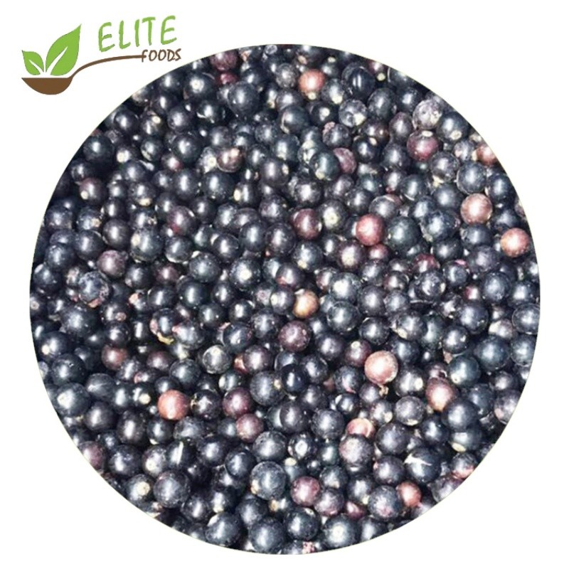 IQF Frozen Blackcurrant