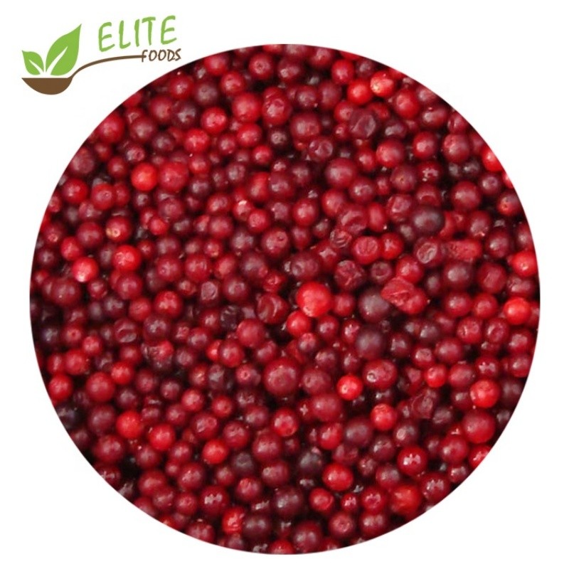 IQF Frozen Lingonberry