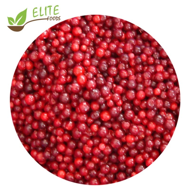 IQF Frozen Lingonberry
