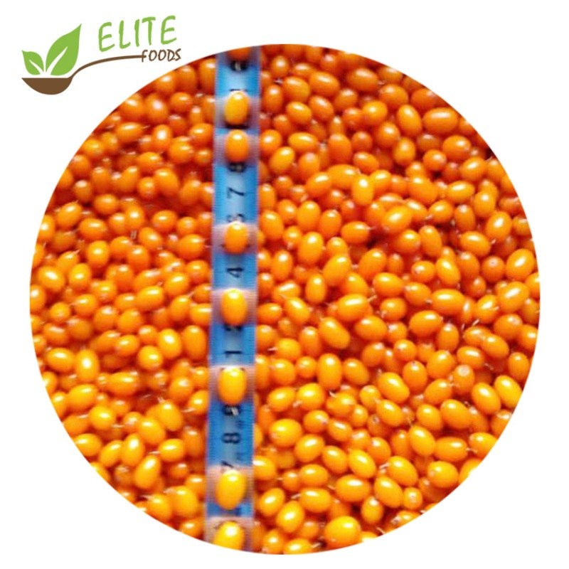 IQF Frozen Sea Buckthorn