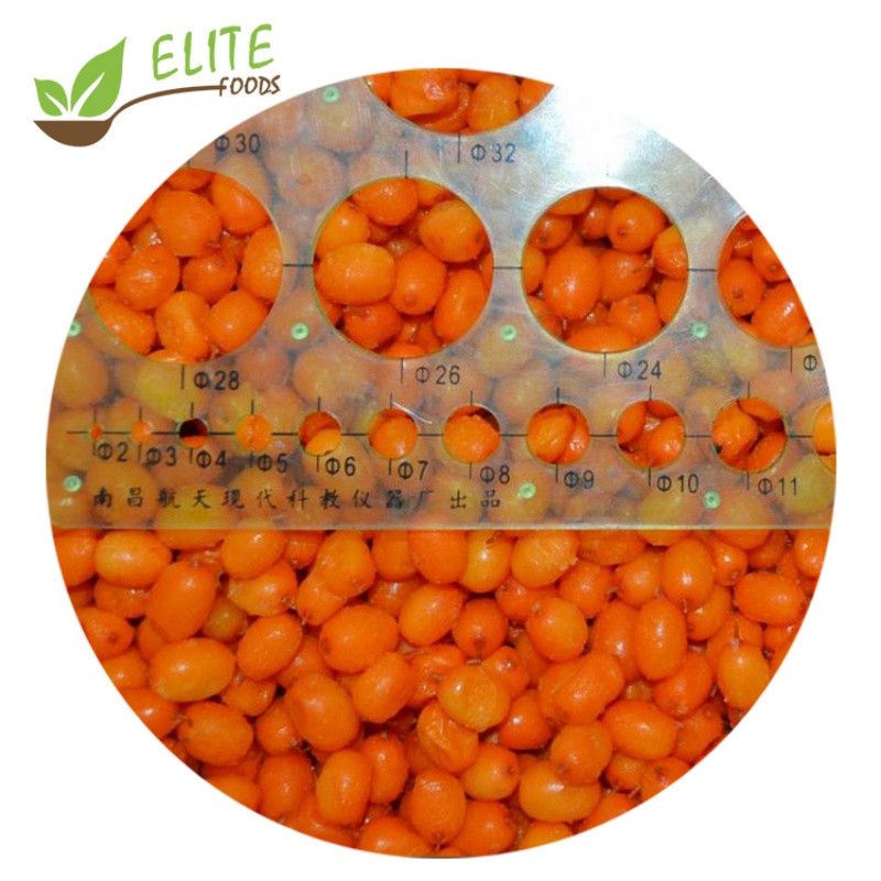 IQF Frozen Sea Buckthorn