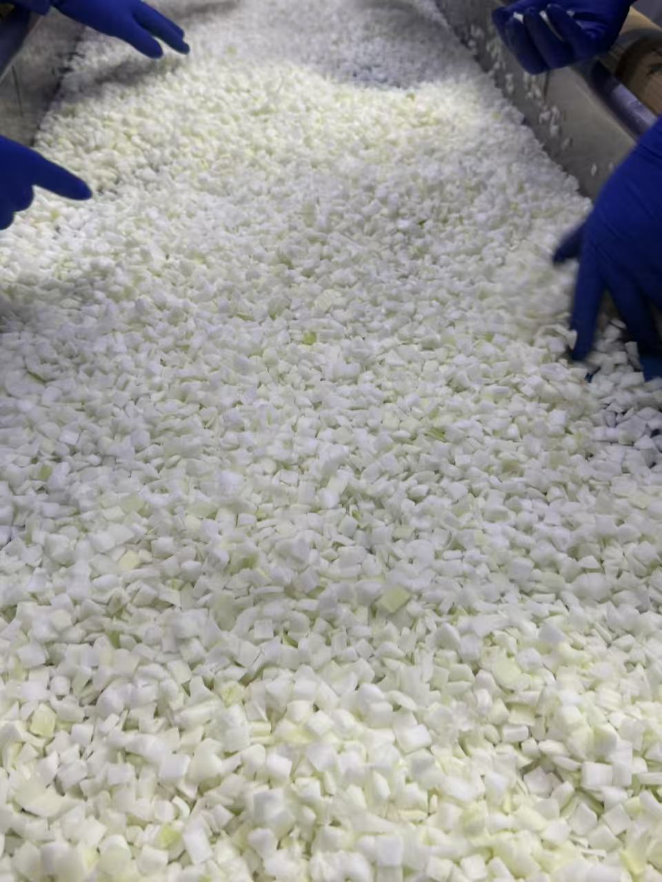IQF Frozen Onion Dice(图3)