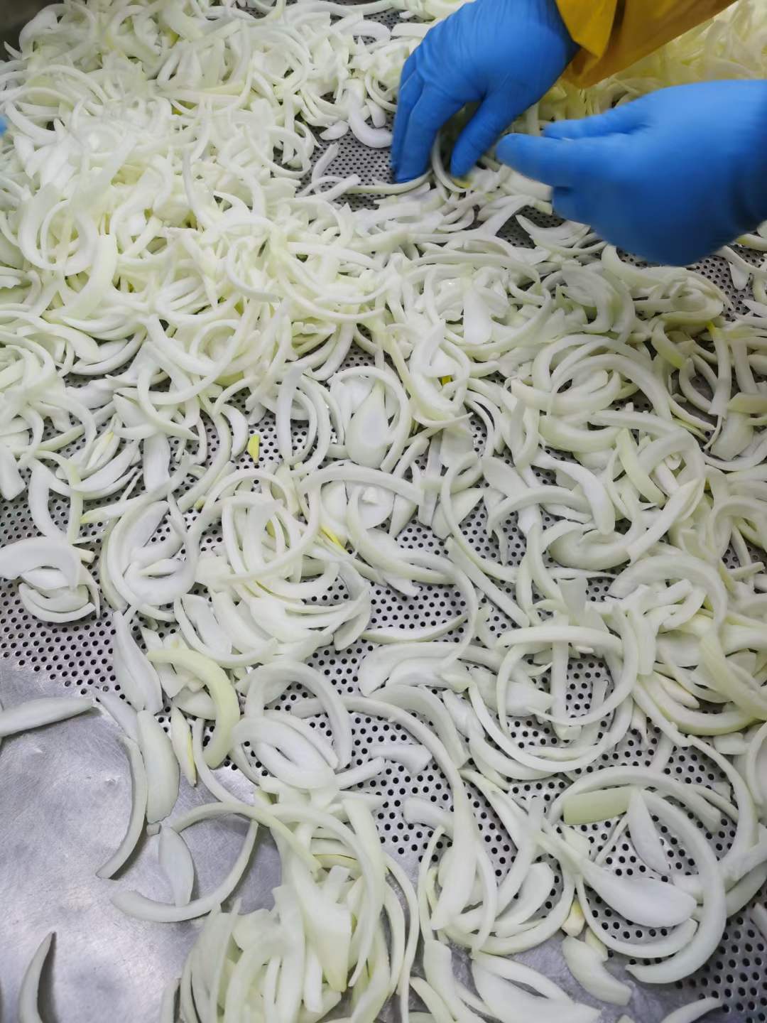 IQF Frozen Onion Slice(图2)