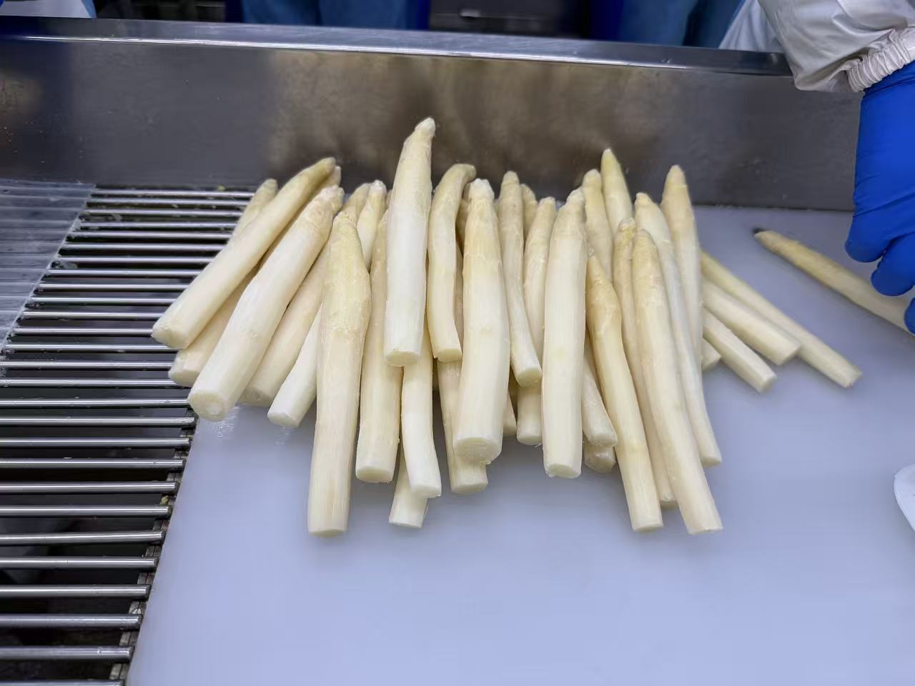 1-260G314130X02.jpg