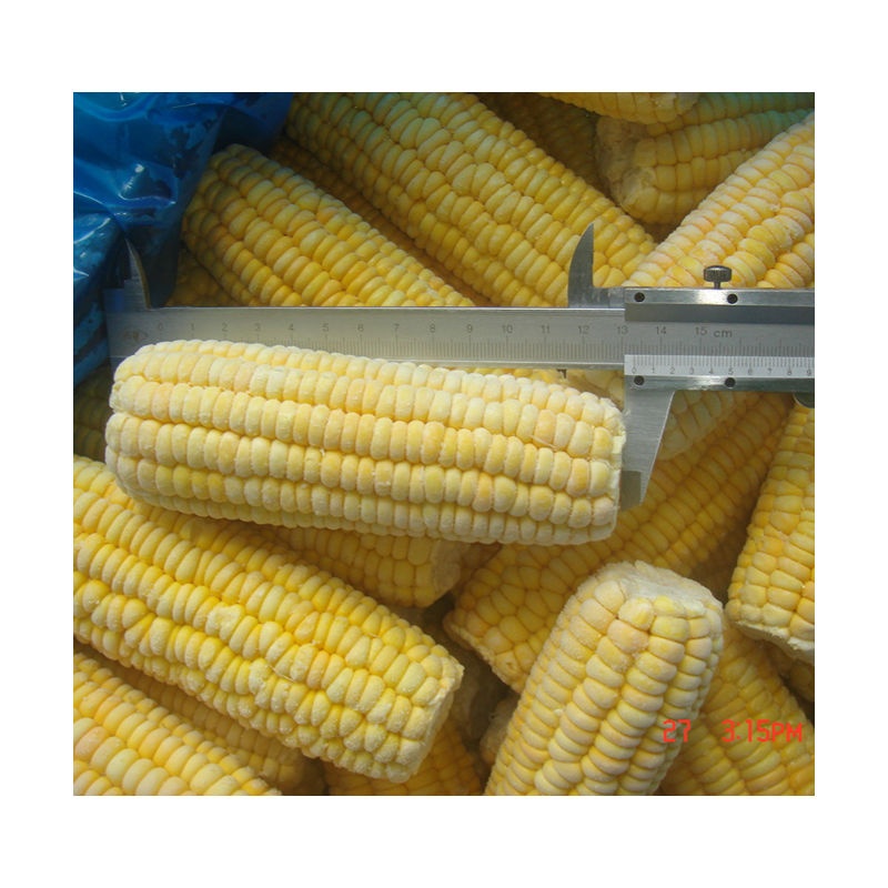 IQF Frozen Sweet Corn Cob(图3)