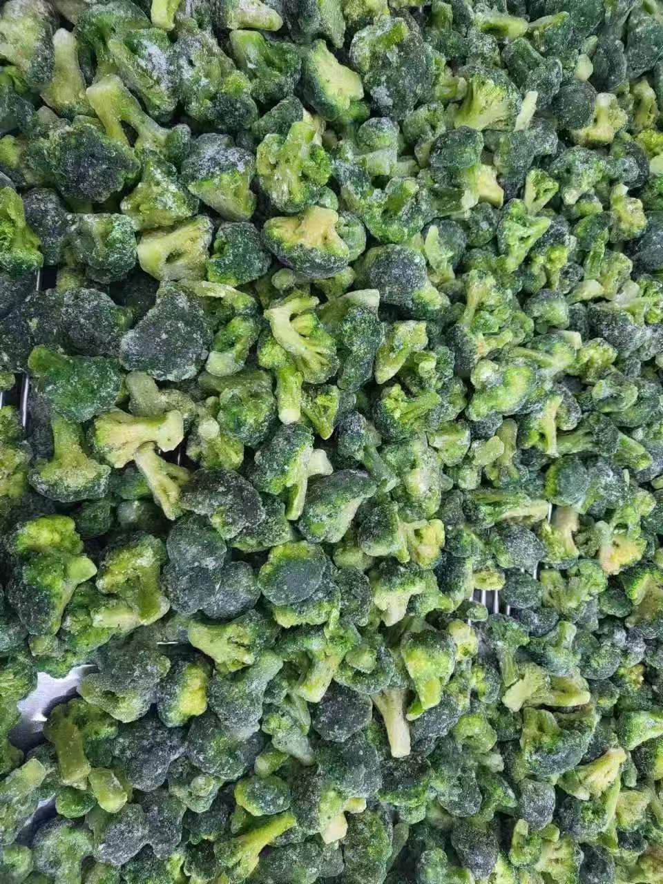 IQF Frozen Broccoli(图4)