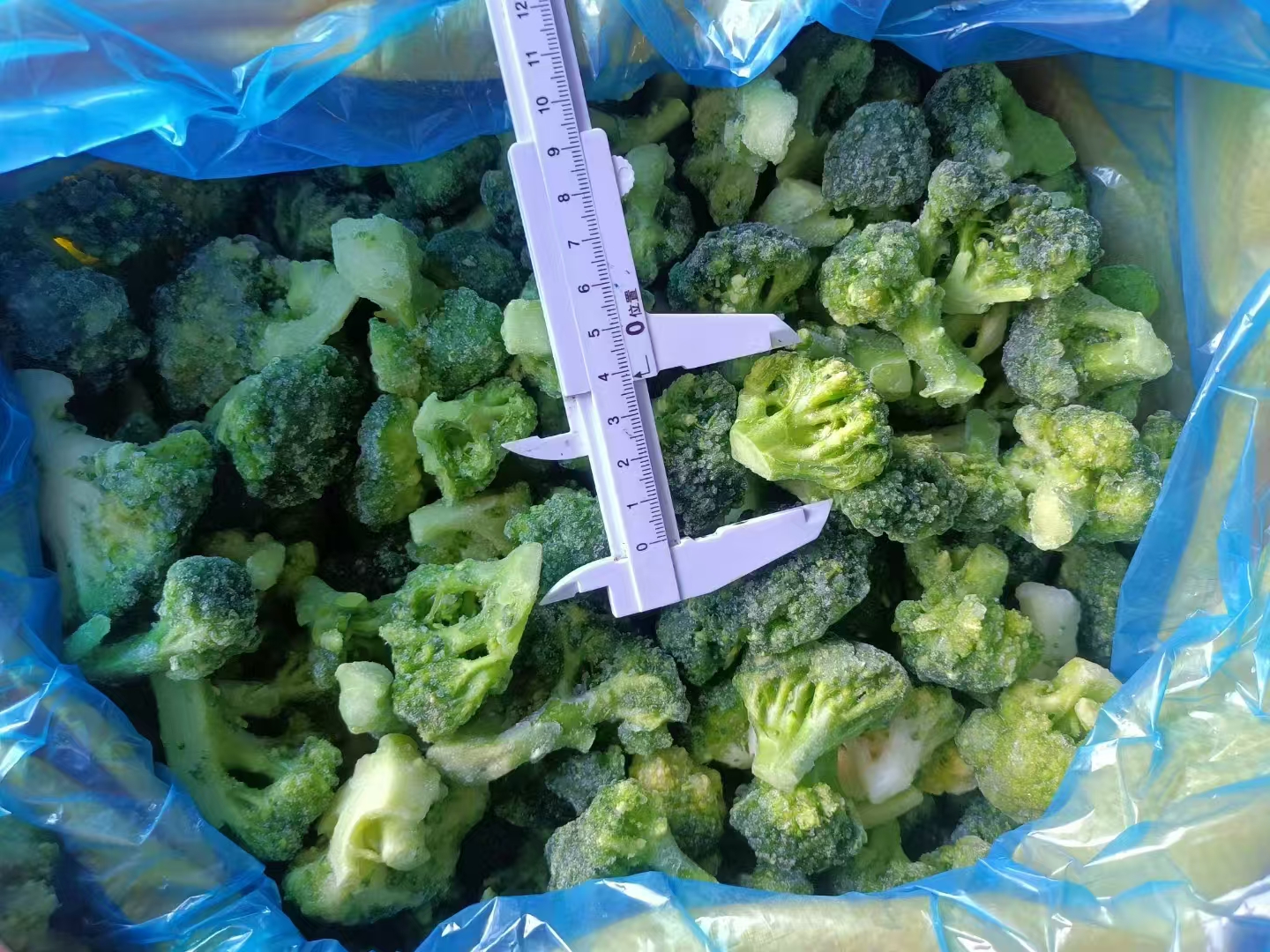 IQF Frozen Broccoli(图3)