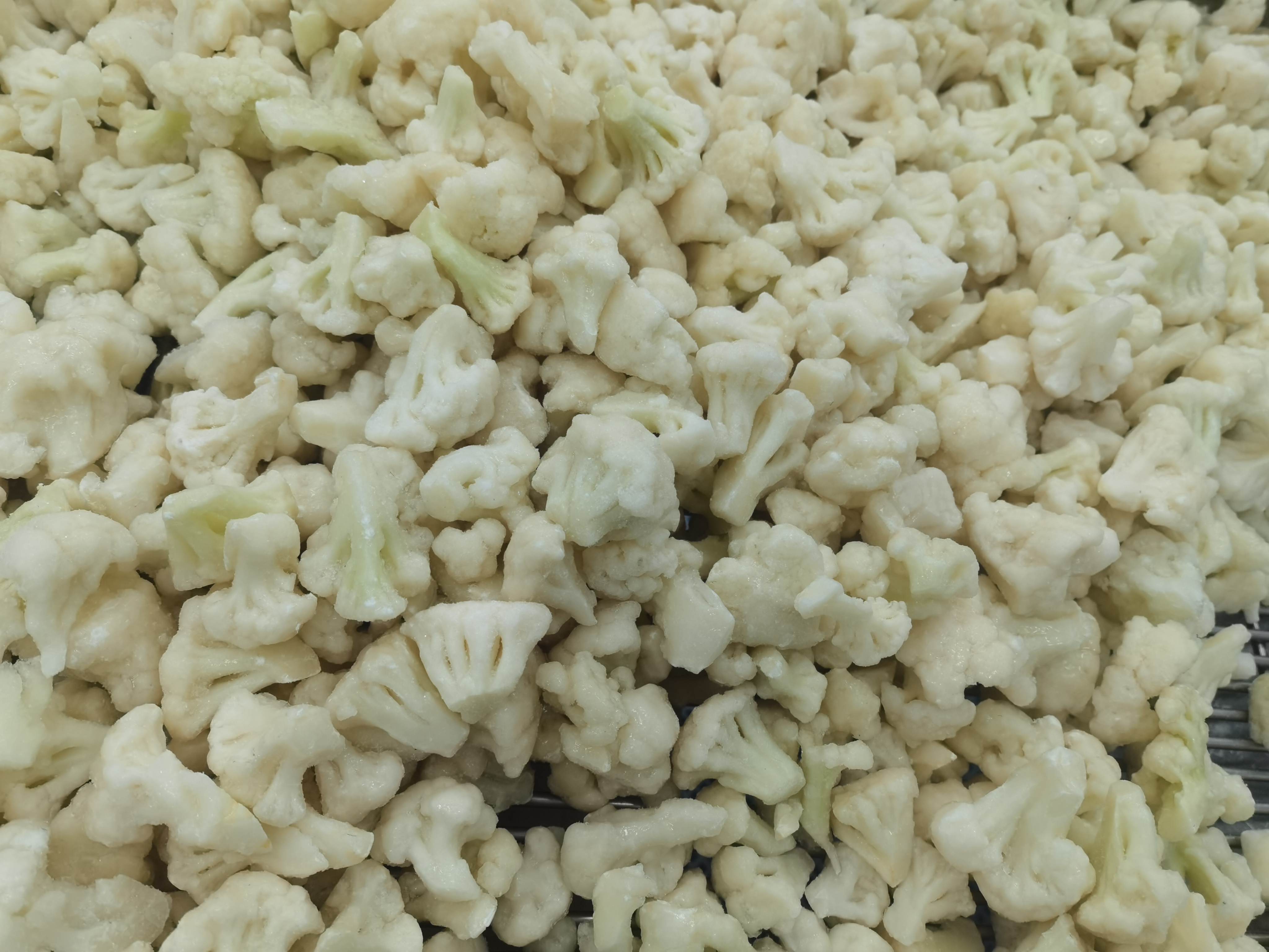 IQF Frozen Cauliflower(图4)