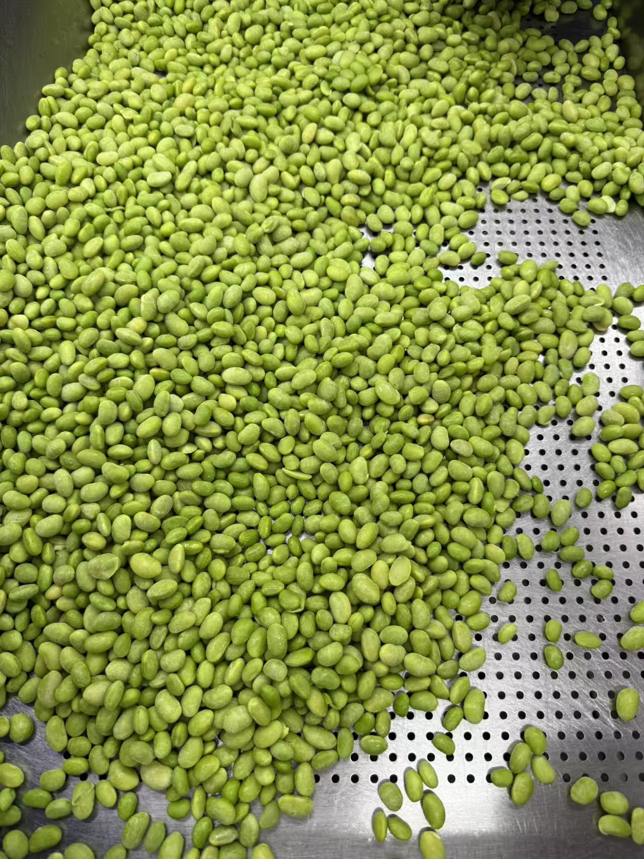 IQF Frozen Edamame Kernels(图4)