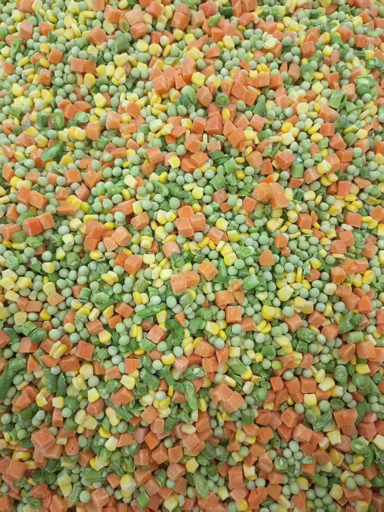 IQF Frozen Mixed Vegetable(图4)