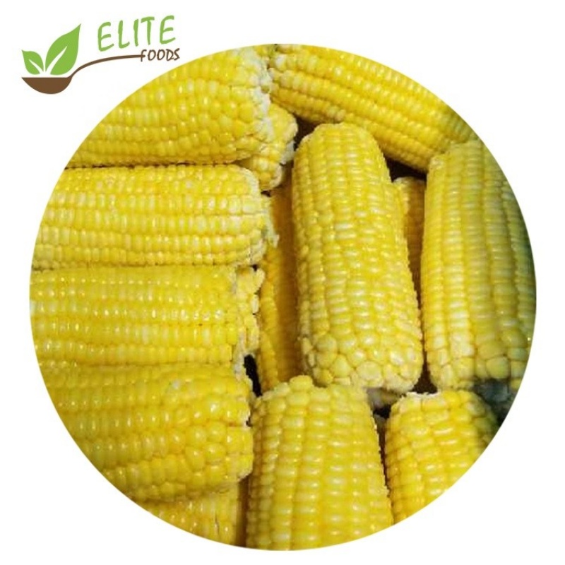 IQF Frozen Corn Cob(图2)