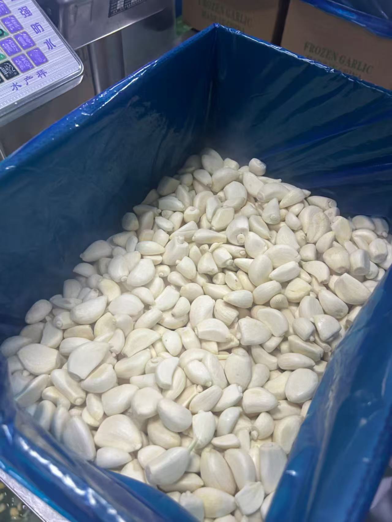 IQF Frozen Garlic(图3)