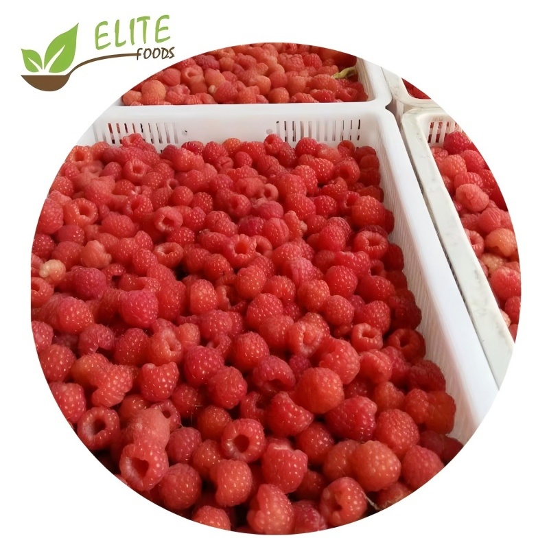IQF Frozen Raspberry(图3)