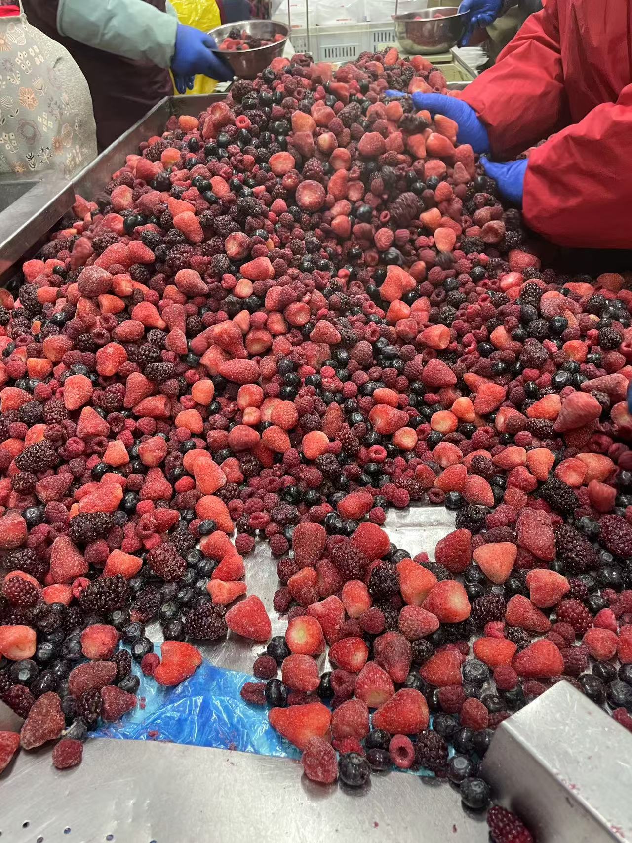 IQF Frozen Mixed Berry(图3)