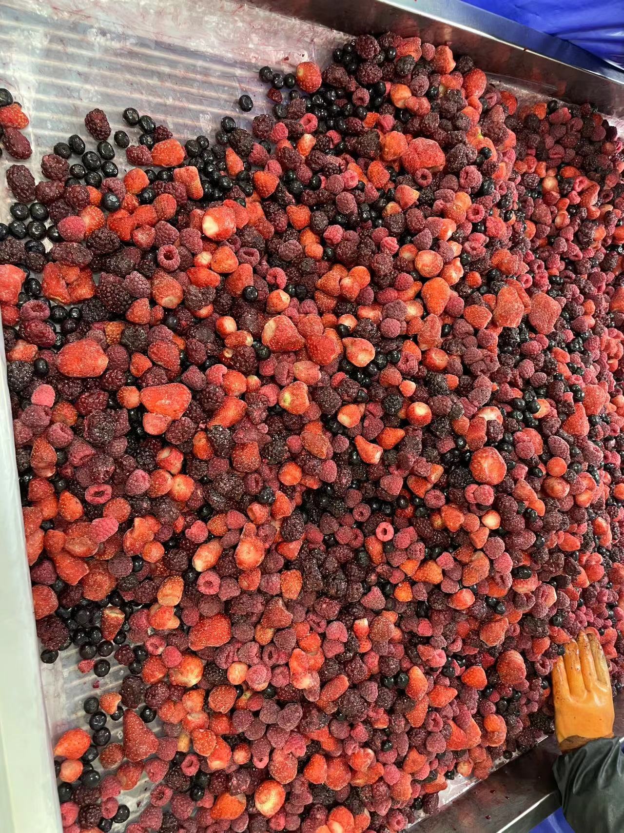 IQF Frozen Mixed Berry(图4)