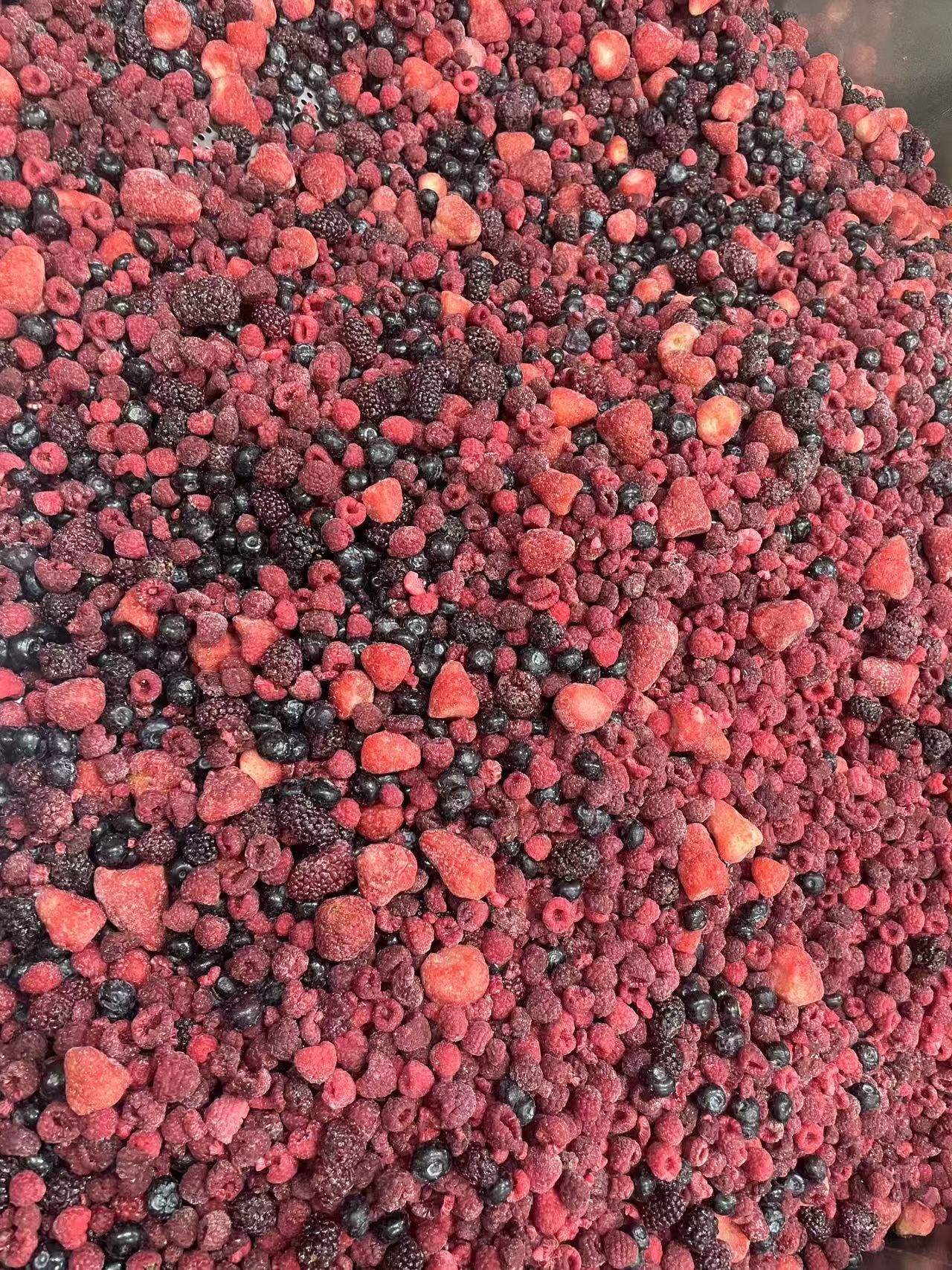 IQF Frozen Mixed Berry(图2)