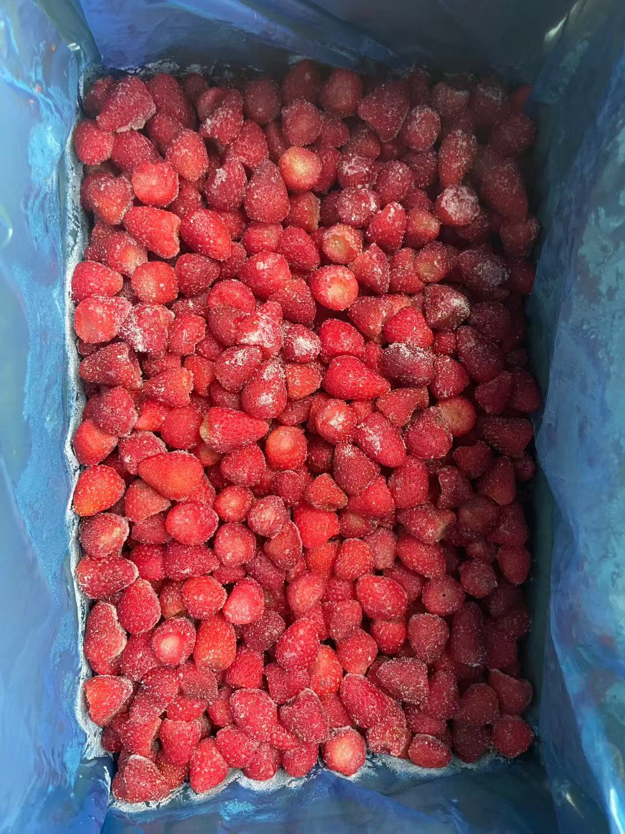 IQF Frozen Strawberry(图2)