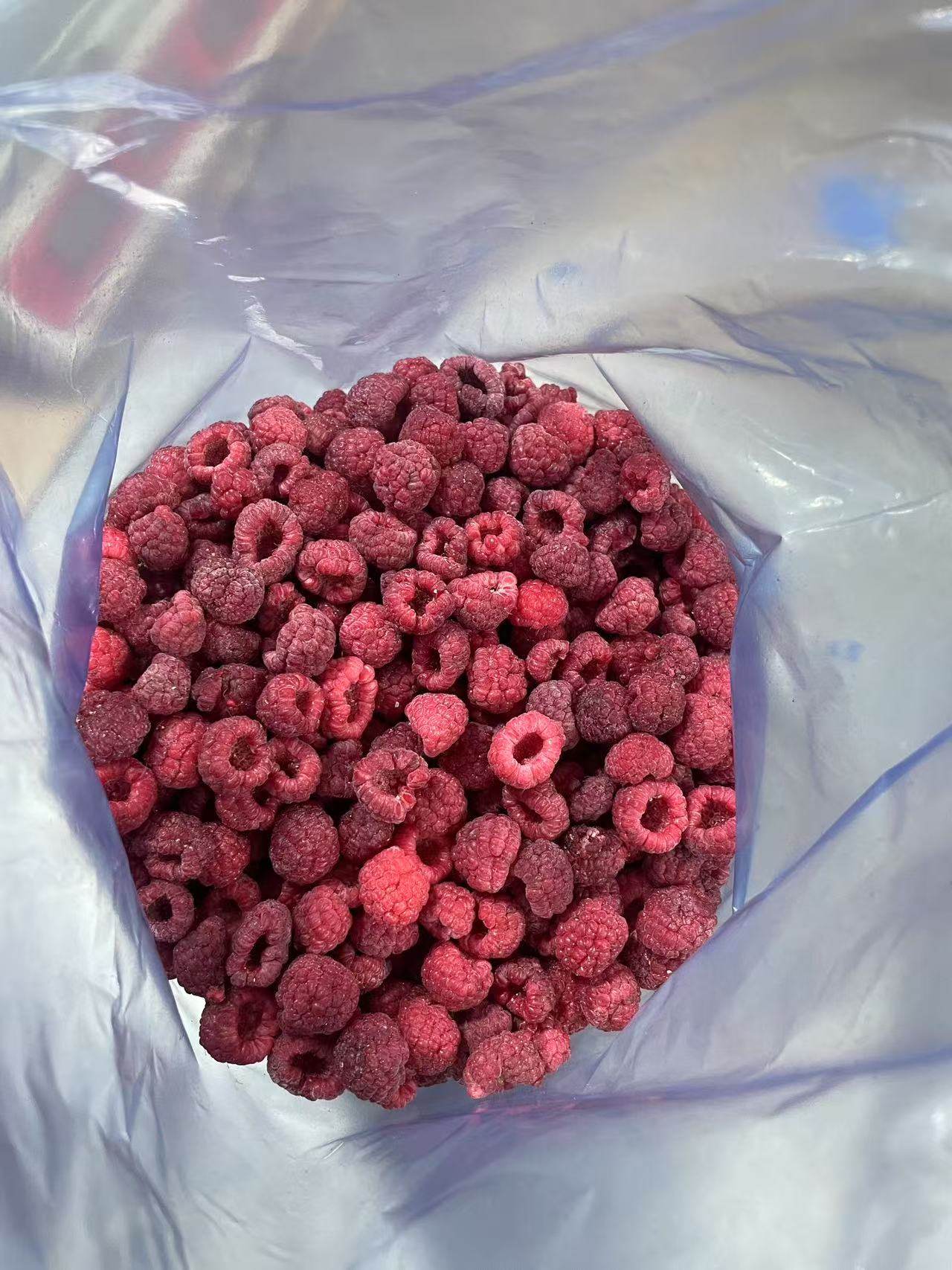 IQF Frozen Raspberry(图3)