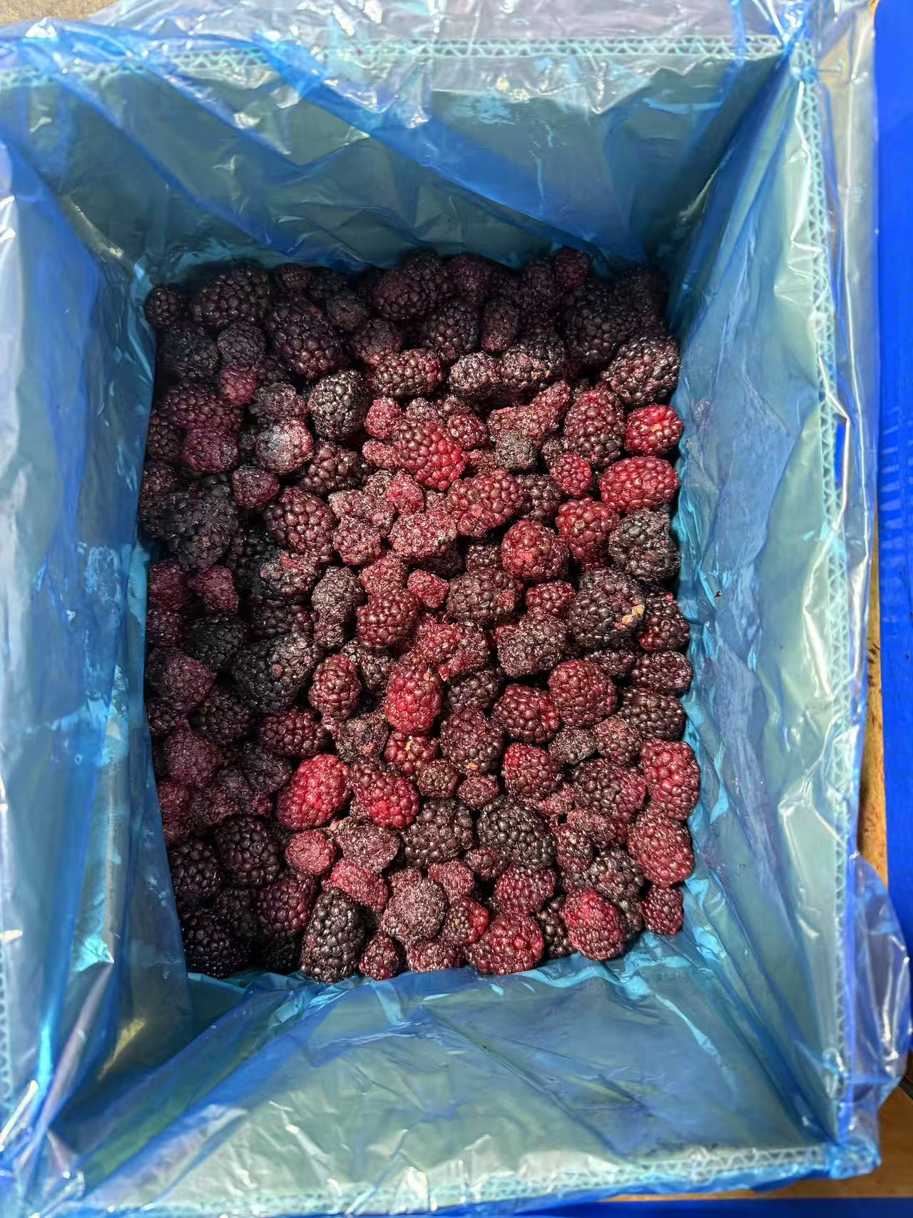 IQF Frozen Blackberry(图3)