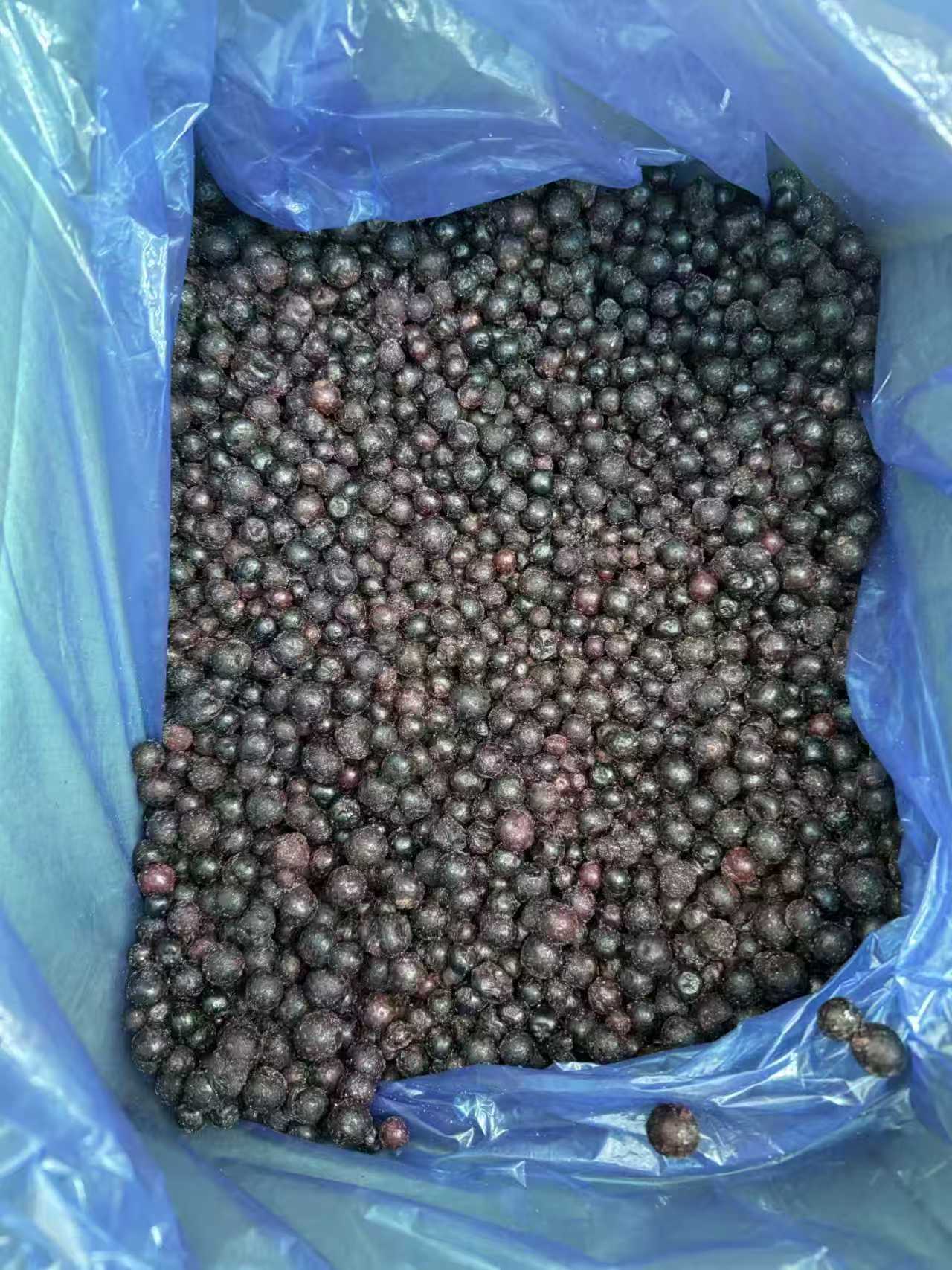 IQF Frozen Blackcurrant(图2)