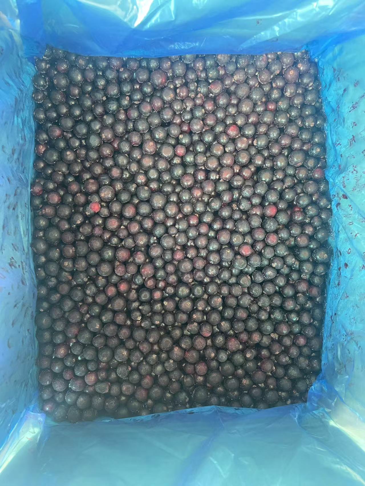 IQF Frozen Blackcurrant(图3)