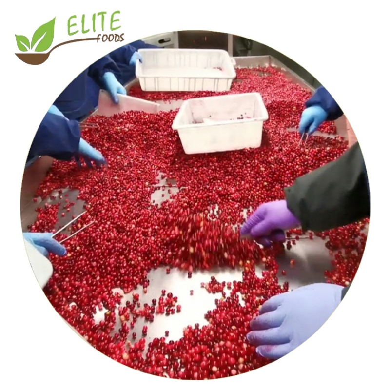 IQF Frozen Lingonberry(图3)