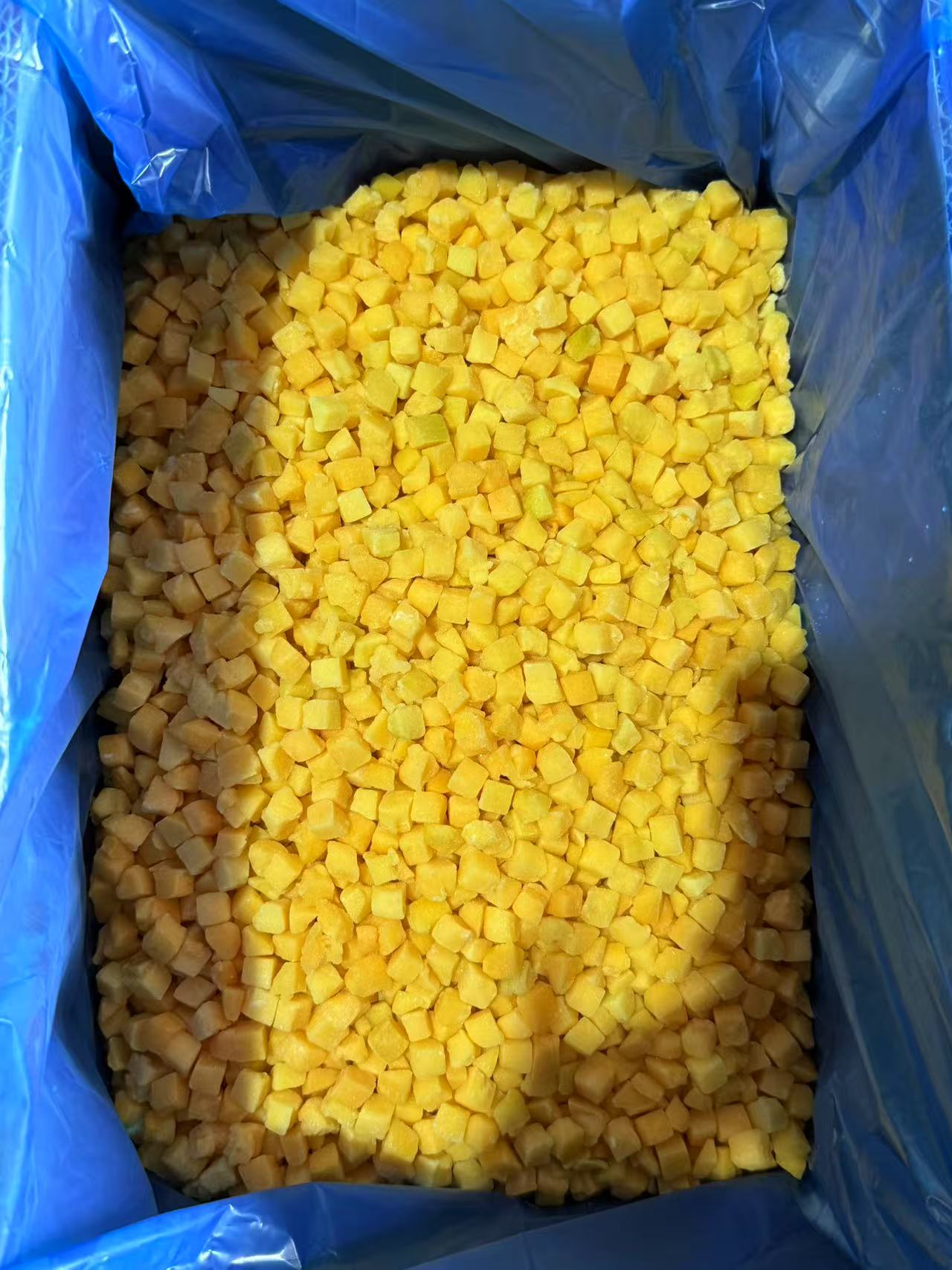 IQF Frozen Yellow Peach Dice(图3)