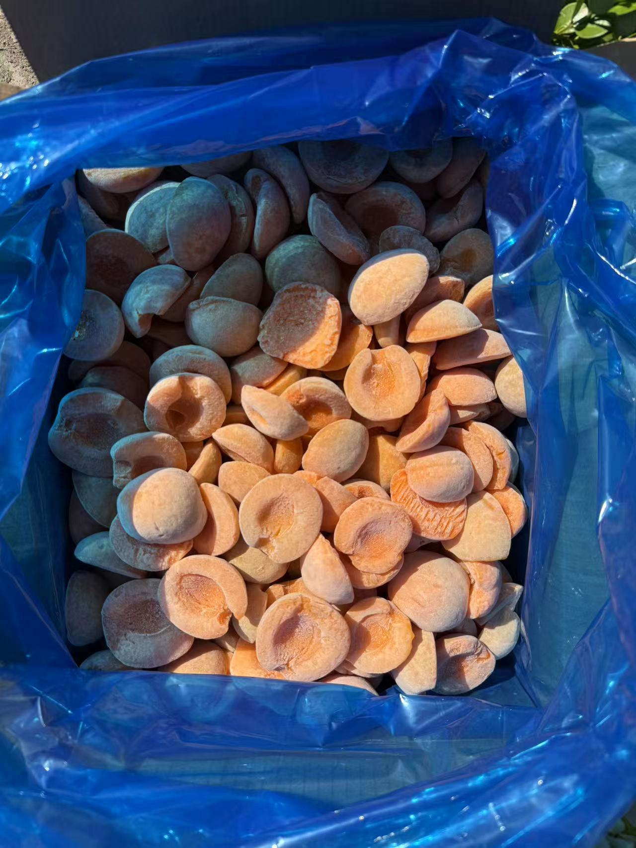 IQF Frozen Apricot Halves(图2)