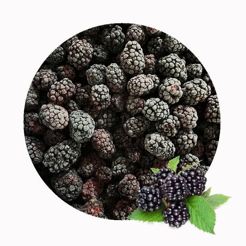IQF Frozen Blackberry(图3)