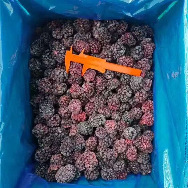 IQF Frozen Blackberry(图4)