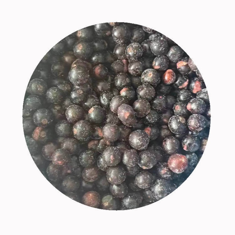 IQF Frozen Black Currant(图2)