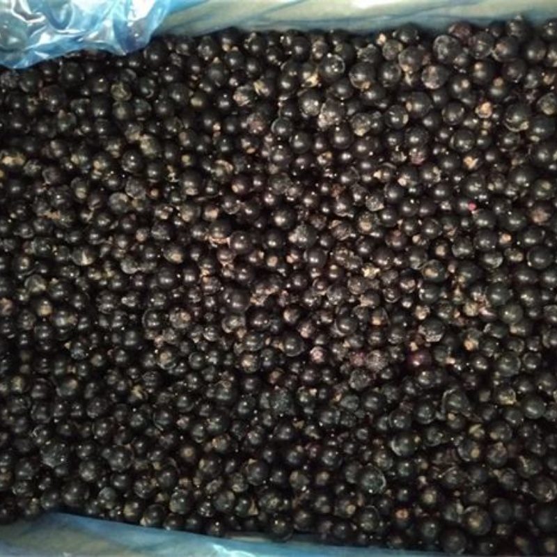 IQF Frozen Black Currant(图4)