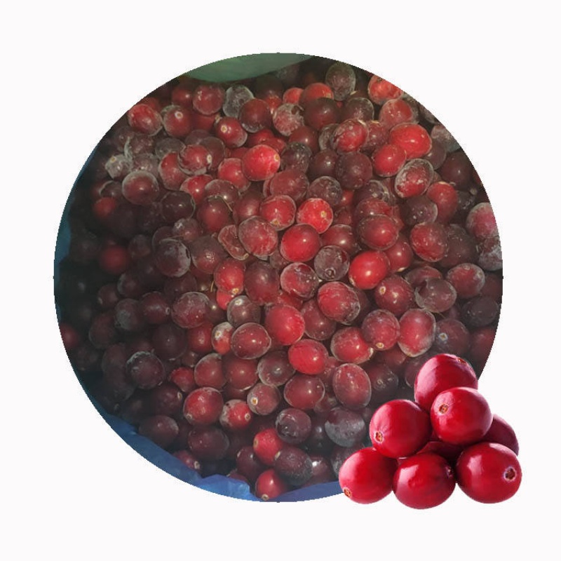 IQF Frozen Lingonberry(图3)
