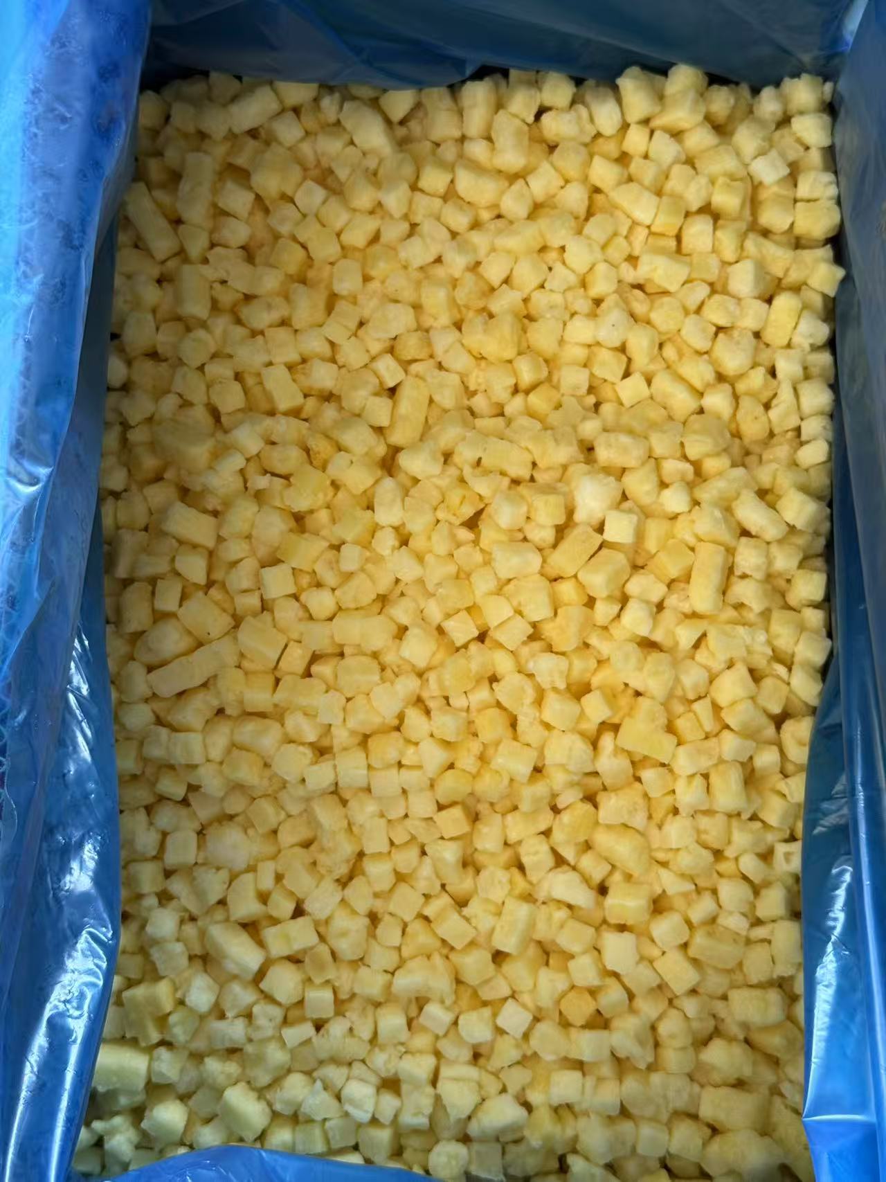 IQF Frozen Pineapple Dice(图2)