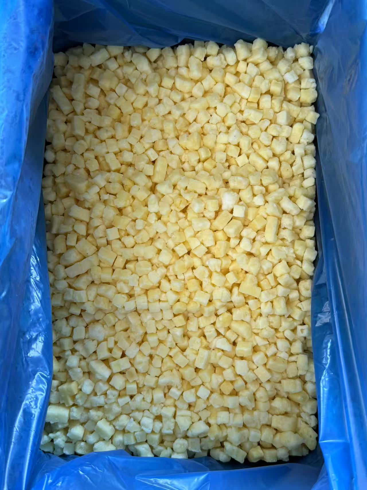 IQF Frozen Pineapple Dice(图3)