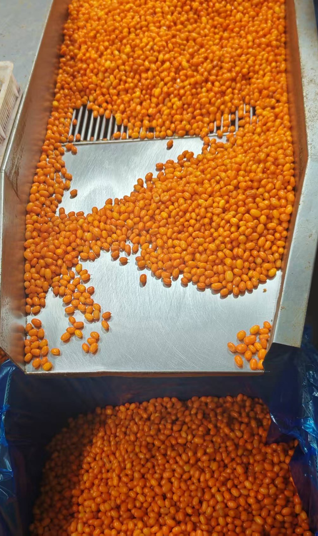 IQF Frozen Seabuckthorn Berry(图2)