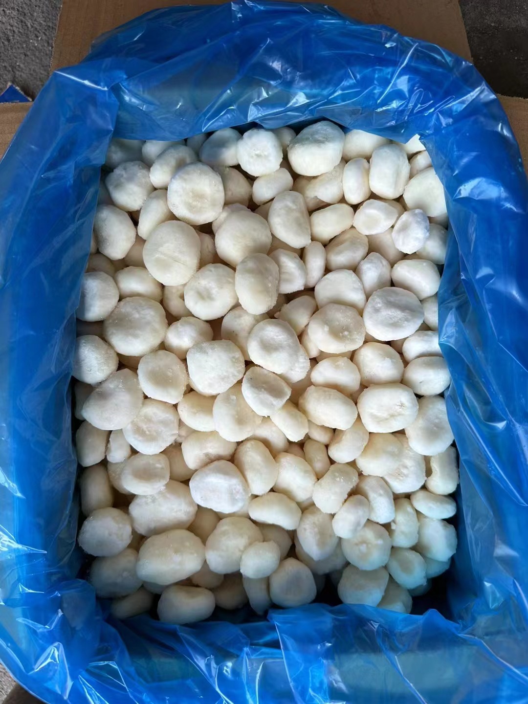 IQF Water Chestnut(图3)