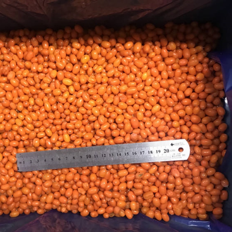 IQF Frozen Sea Buckthorn (图4)