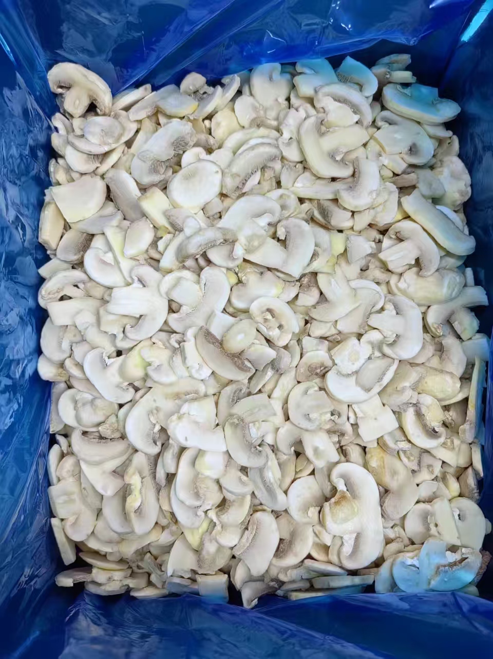 IQF Frozen Button Mushroom Slice(图2)