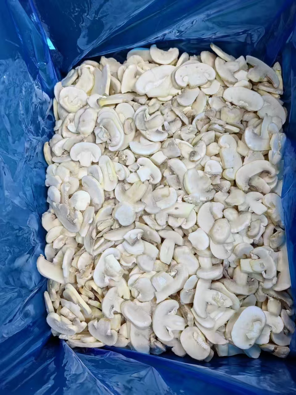 IQF Frozen Button Mushroom Slice(图3)
