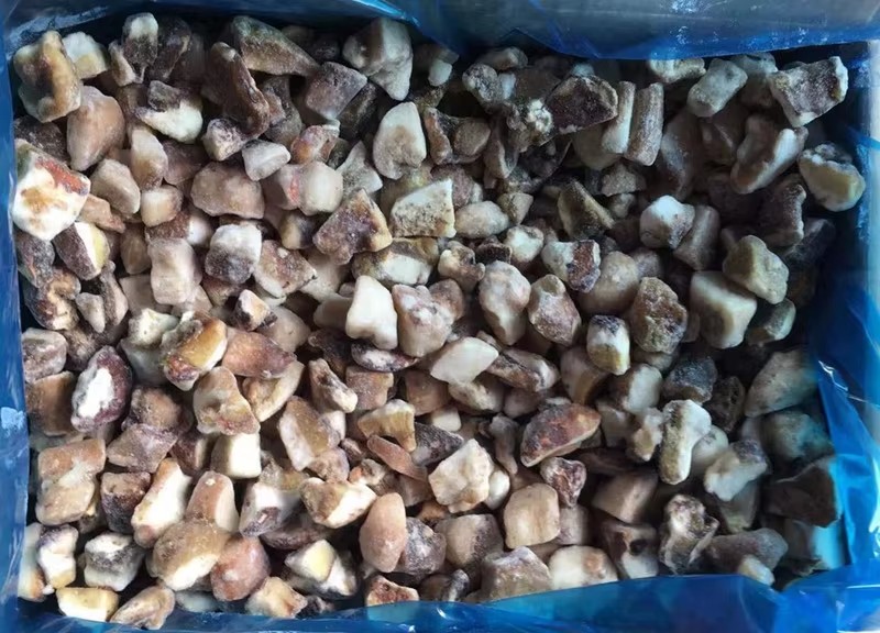 IQF Frozen Boletus Mushroom(图3)