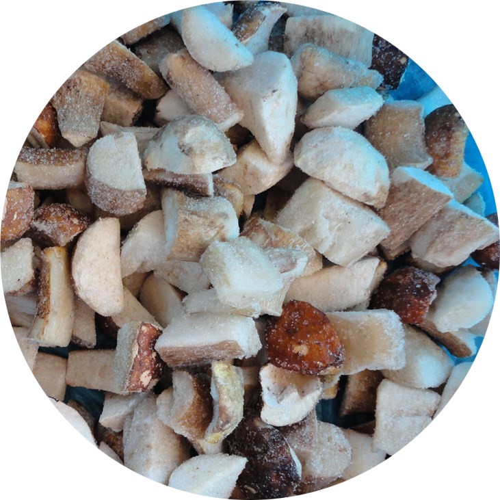 IQF Frozen Boletus Mushroom(图2)